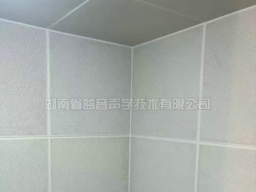 湖南省益音聲學(xué)技術(shù)有限公司,湖南測(cè)試隔音,湖南工業(yè)隔音,雙面迷你測(cè)聽(tīng)室哪里的好 湖南省益音聲學(xué)技術(shù)有限公司,湖南測(cè)試隔音,湖南工業(yè)隔音,雙面迷你測(cè)聽(tīng)室哪里的好